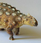 The armoured dinosaur Ankylosaurus by PNSO