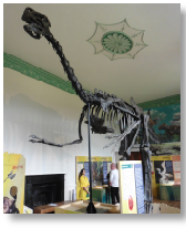 The gigantic bird-like dinosaur Gigantoraptor erlianensis