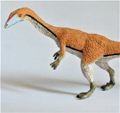 Coelophysis