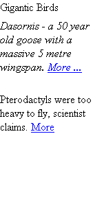 Gigantic Birds
Dasornis - a 50 year old goose with a massive 5 metre wingspan. More ...

Pterodactyls were too heavy to fly, scientist claims. More


