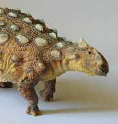 The armoured dinosaur Ankylosaurus by PNSO